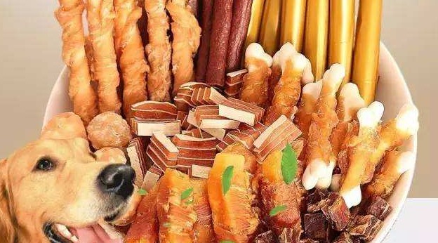 2025年中国宠物食品行业市场前景预测研究报告